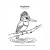 BIG BOLD BIRDS (2) Big Bold Birds — Easy Coloring Book for Adults & Seniors with Shaky Hands