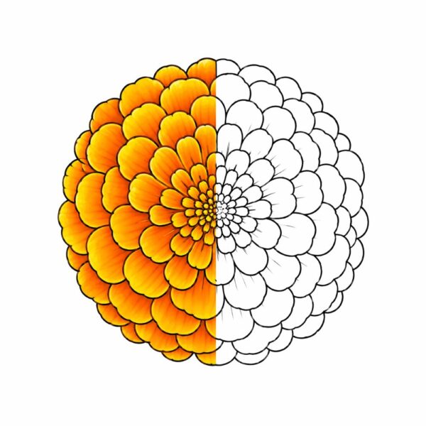 BIG BOLD FLOWERS (2) Big Bold Flowers — Easy Coloring Book for Adults with Parkinson's, Arthritis & Tremors