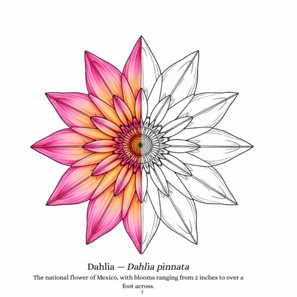 BIG BOLD FLOWERS (3) Big Bold Flowers — Easy Coloring Book for Adults with Parkinson's, Arthritis & Tremors