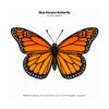 Big Bold Butterflies (4) Big Bold Butterflies — Easy Coloring Book for Adults & Seniors with Bold Designs and Thick Outlines