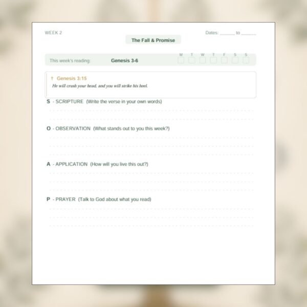 Faith Walk Journals - Rooted in His Word — 52-Week Bible Reading & Reflection Journal for Women (7) Rooted in His Word — 52-Week Bible Reading & Reflection Journal for Women
